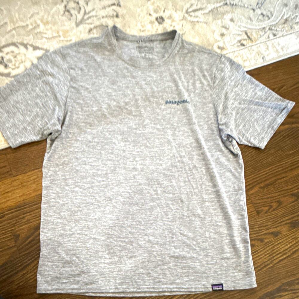 Patagonia Capilene Cool Daily Men’s Small Gray Graphic Crew Neck T-Shirt